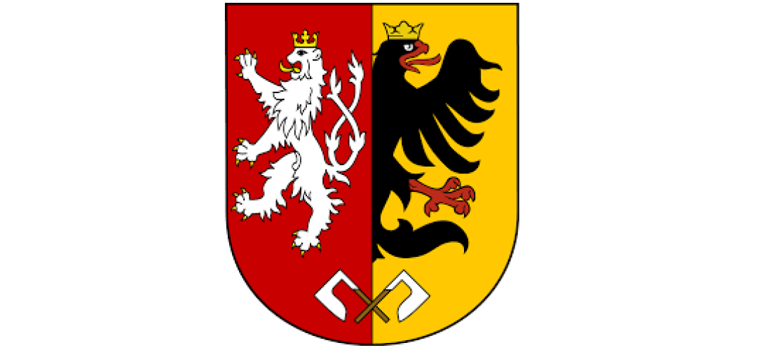 Město Polička